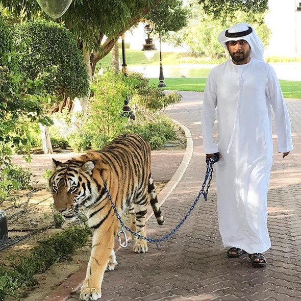 Những điều kỳ lạ ở Dubai -  ảnh 1