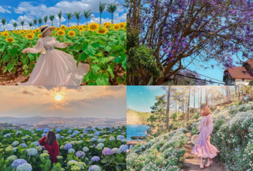 Những loài hoa khoe sắc dịp lễ 30/4 01/5 tại Đà Lạt