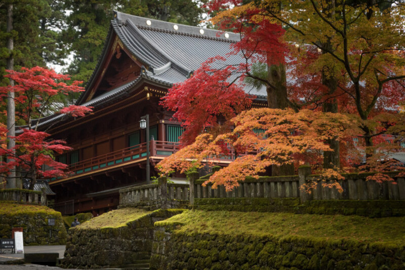 Mùa lá đỏ tuyệt vời tại Nikko 