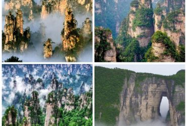 Trương Gia Giới -