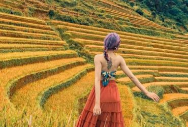 Mù Cang Chải mùa lúa chín đẹp như tranh vẽ