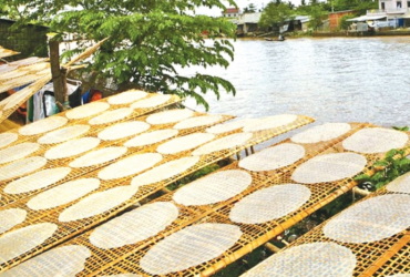 Đặc sản bánh tráng phơi sương ở Tây Ninh