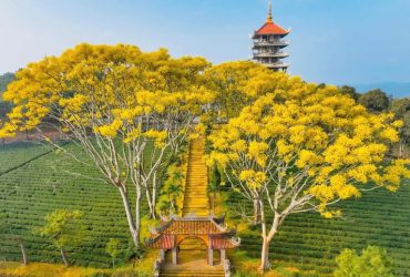 Tu viện Bát Nhã tọa lạc trên một ngọn đồi