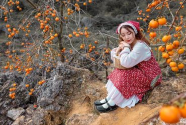 Du khách check-in cùng vườn hồng