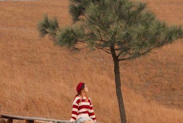 Đỉnh Phượng Hoàng - Địa điểm check-in cực hot tại Quảng Ninh